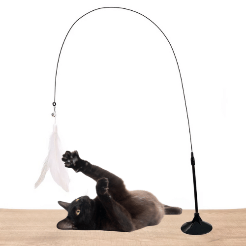 Katzenspielzeug mit Feder und Glöckchen